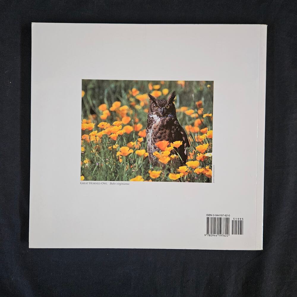 Wild Birds of California By David‎ Luca Paperback - Picture 2 of 8